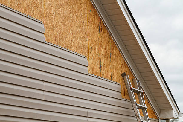 Professional Wood Siding technician working in Springfield, MA